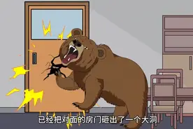 从动物园里跑回来的小熊来到我家门前按响了门铃视频封面