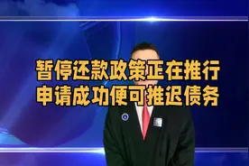 暂停还款政策正在推行，申请成功便可推迟债务