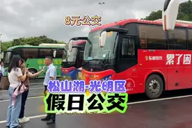 东莞8元直达深圳光明，广东公交每逢周末、节假日双向开行视频封面