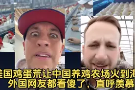 美国鸡蛋荒让中国养鸡农场火到海外！外国网友都看傻了，直呼羡慕视频封面