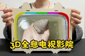 在拼多多网购了一款3D全息电视影院投影仪，居然还可以播放3D视频