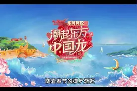 春晚同款背后的秘密：京东隐藏了什么惊喜？视频封面