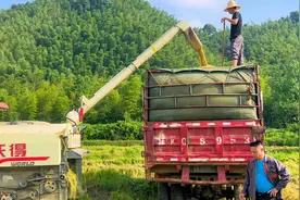 江西某农村不种地了，农民每年收点租金过日子，自己还得买米吃视频封面