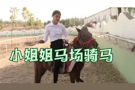 美女马场学习骑马视频封面