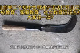 从河北邯郸三个初中生用铁铲活活打死同学，谈三者之间的教育视频封面