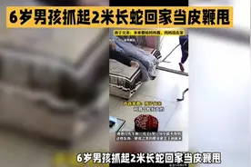 6岁男孩抓起2米长蛇回家当皮鞭甩视频封面
