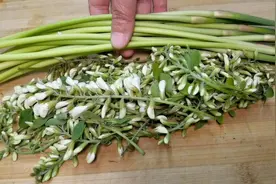 春天，蒜苔和槐花才是绝配，教你神仙做法，出锅真香，特别的好吃视频封面