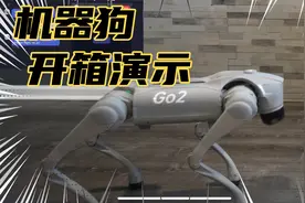 2分钟带你开箱，宇树科技机器狗，实属厉害