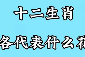 12生肖各代表什么花，来看看你的生肖花是什么，与你想象的一样吗视频封面
