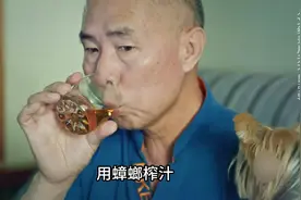 蟑螂还能提取中药。