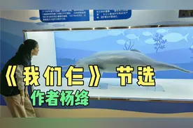 世纪老人眼里的亲情视频封面