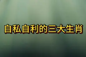 自私自利的三大生肖视频封面