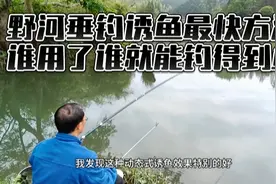 野河垂钓诱鱼最快方法，谁用了谁就能钓得到鱼视频封面