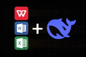 deepseek-r1接入wps或office word方法，不一样的办公效率神器视频封面
