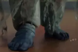 白衣女人#老洲影视解说#惊悚电影视频封面