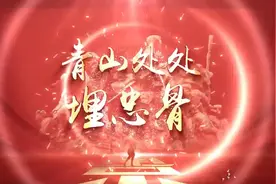 青山处处埋忠骨led朗诵背景视频视频封面