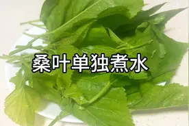桑叶单独煮水，老一辈留下来的传统做法，很多人都不知道，实用视频封面