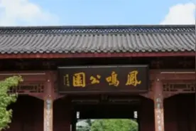 时光六年，人生老去，感慨无需活在当下。视频封面