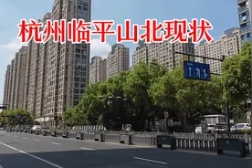 浙江杭州市，临平山北，看看现状是什么样的？视频封面