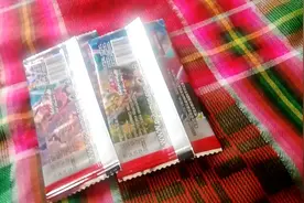 小卖部系列：宝可梦朱紫（盗版）（1）