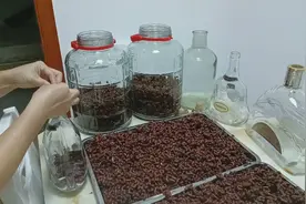 拐枣酒：活血化瘀，祛风湿，关节疼痛，促进血液循环，安神助眠。