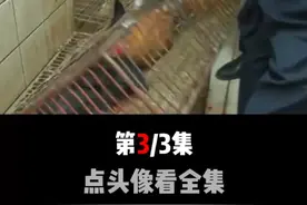养鸡城管也不让啊？视频封面