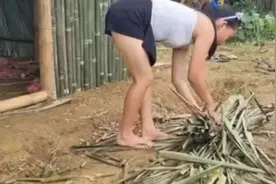 野外生存看农村大姐怎么用竹子搭出一所房子，农村生活太惬意了视频封面