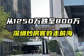 深圳炒房客惨败，从1250万跌至800万，房价还会下降吗？视频封面