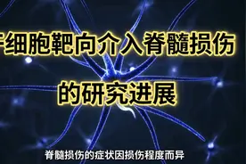 干细胞靶向介入脊髓损伤的研究进展视频封面