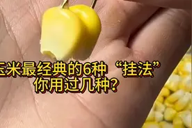 用玉米作钓最经典的6种“挂法”，看看你用的最多的是哪一种？视频封面