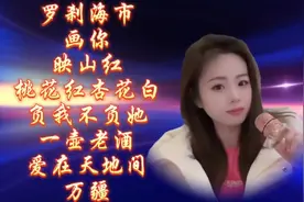吴采乐经典歌曲集~罗刹海市、负我不负她、画你~视频封面