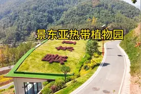 景东亚热带植物园视频封面