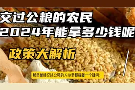 【揭秘2024】交过公粮的农民能拿到多少补贴？政策大解析！视频封面