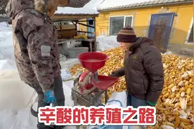 80后小伙酷爱养殖家禽，每年都是入不敷出，一年要吃掉几千斤粮食视频封面