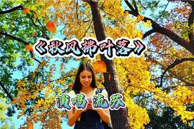 流苏演唱的歌曲《秋风拂叶落》旋律优美，歌声柔美悦耳动听