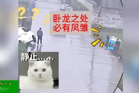老杨说道视频封面