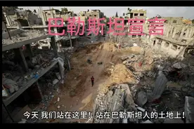巴勒斯坦宣言。视频封面