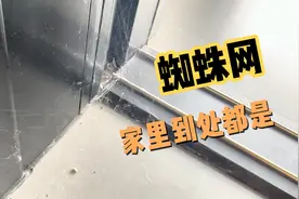 不住人的房子真的会废掉！半年没回家，这房子已经不想要了。视频封面