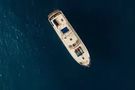 2025最新灾难冒险电影《只要活着》突遇神秘海底生物，赶紧看视频封面