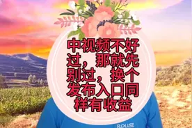 中视频不好过，那就先别过，换个发布入口同样有收益。视频封面