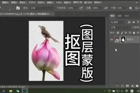 PS抠图(图层蒙版抠图)图层蒙版用法PS入门基础教学PS初学者教程课
