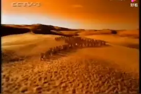 2000年2月10日CCTV—3宣传片+节目预告（搜狐视频+好看视频版）视频封面