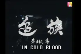 【禁盗】《追族》（1978）香港丽的电视剧台视频封面