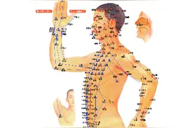 人体经脉穴位图