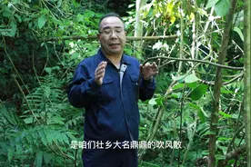 壮乡可以吸的草药，吹风散，大家一定要认识视频封面