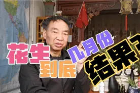 人教课文《拔萝卜》害人溺水 花生结果 一本糊涂账 把娃教傻了视频封面