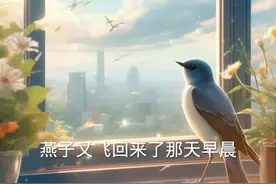 燕子归来视频封面
