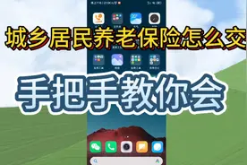 城乡居民养老保险怎么交，手把手教你会视频封面