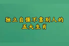 独立自强不靠别人的五大生肖视频封面