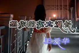 原唱完整版 王爱华《想你的夜太漫长》相思的泪打湿了眼眶视频封面